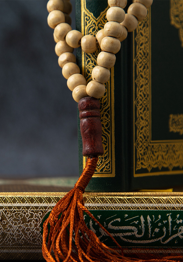 الصفحة الرئيسية